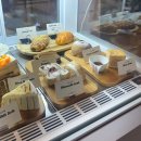 선정릉역카페 삼성동디저트 맛있는 강남애견동반 에이밤카페 후기