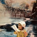 지구별 여행 | 월계 이마트 문화센터 “홀리아트 미술 탐험대의 지구별 여행” 가을학기 수강 후기
