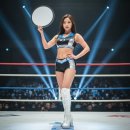 도장사 | 불량연애 베이비 K-1 라운드걸, 꼭 알아야 할 정보