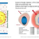 한길요양병원 이미지