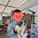 유봉농장 이미지