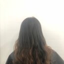 더 미쁘다 이미지