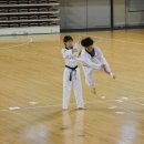 화랑체육관(태권도) 이미지