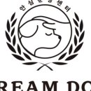 드림독 강아지분양 안심분양센터 인천점 이미지