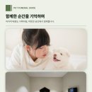 국도변 법면 디자인 | 시흥 강아지 장례 상담부터 마무리까지 전체 절차가 궁금하다면