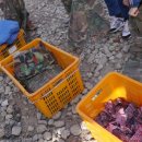 명품게임장 이미지