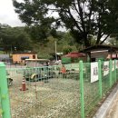주식회사 카택 | 가기 좋은 캠핑장 서울북한산럭셔리카라반 내돈내산 이용 후기 + 장보기, 이동 총정리, 꿀팁다수