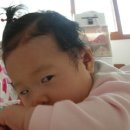 박지우 카카오 검색결과
