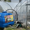 박정자농장 이미지