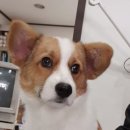 금릉소공원 이미지