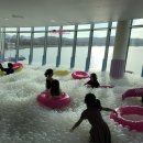 꽃피우다 이미지