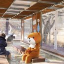 수안보족욕체험장 이미지