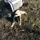 월천농장 이미지