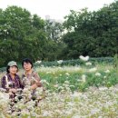 선학체육관 이미지