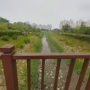 물빛공원 농구장 이미지