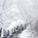 겨울 이미지