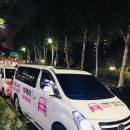 하남펫택시 이미지