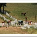 원당공원 이미지