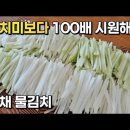 무채로 만드는 아삭한 겨울 동치미 레시피 무채 물김치 이미지