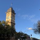 아보코어(주) | 호주 유학생 일상ㅣ종강 후 실습 시작 전 뭐하고 놀았냐면요