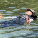 계곡산장 | [여행, 캠핑] #내돈내산 광양 옥룡 계곡 산장 호불호 확실한 후기 : 느티나무펜션