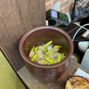 다모이세 이미지