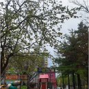 한솔공인중개사사무소 | 신뢰도 높은 송강마을아파트 거래, 대박공인중개사사무소에서 확인하세요