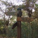 용봉초교 이미지