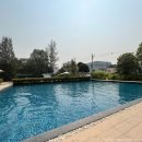 스포츠그린힐 수영장 | 태국 치앙마이 여행 5편_그린힐 콘도 수영장, 마야몰 푸드코트, 다이소, 수영용품 판매점