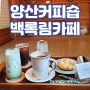 마미숍