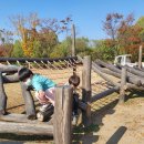 새보람유치원 이미지