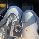 이제, 단양 | 20251101 단양으로 당일치기 단풍놀이 다녀온 후기🤎🎨