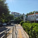 수명산근린공원 다목적체육관 | [서울 강서구]수명산 둘레길 트레킹!!