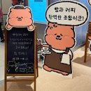 현대대구준지 | 더현대 대구 팝업스토어 8월 팝업 빵고미 이벤트 및 구경 후기