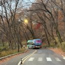 나들가게화창할인유통 | 2025년 11월 15일 토요일