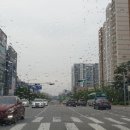 모모펫그루머 이미지