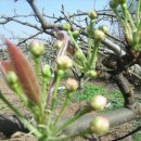 한우물 농장 이미지