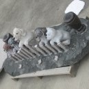 강아지정원 이미지