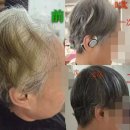 가꾸다 윤 | 초어산언샴푸,초어산언염색약,서울초어산언샴푸,강남초어산언샴푸,송파초어산언샴푸,구로초어산언샴푸...