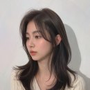복스헤어