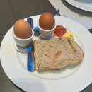 이호랑37 | 신라스테이 플러스 이호테우 조식뷔페 후기 #제주여행 #제주호캉스 #조식뷔페 #내돈내산