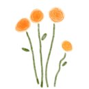 풍무초병설유치원 이미지