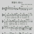 꽃들도 - 칠곡군 자조1길 9-18 | 꽃들도