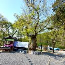 아미타극락회상도 | 고양시. 천년고찰 노고산 (한미산) 흥국사 興國寺 (사찰기행) 38.