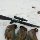 1월6일과 12일 땡포 사냥기 이미지