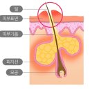 송은미스킨케어
