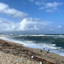 동해바다 이미지