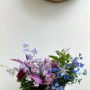 용산-이촌-223 이미지