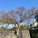 25호공원 이미지