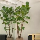 덕소프라자약국 이미지